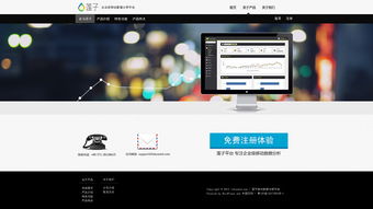 網站設計 從概念到用戶界面的藝術與科學